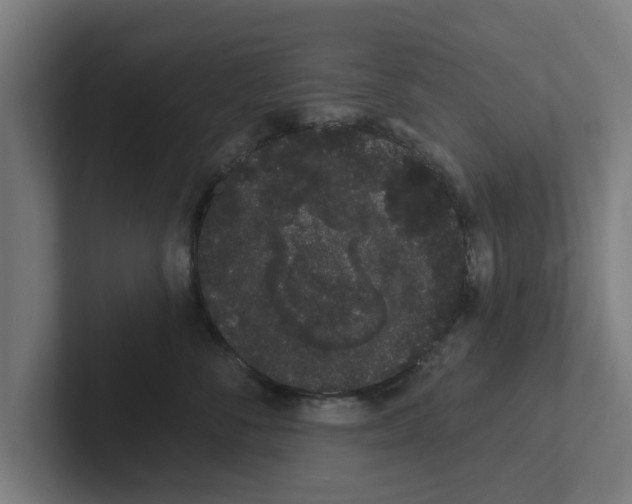 X0000102290716200808221357