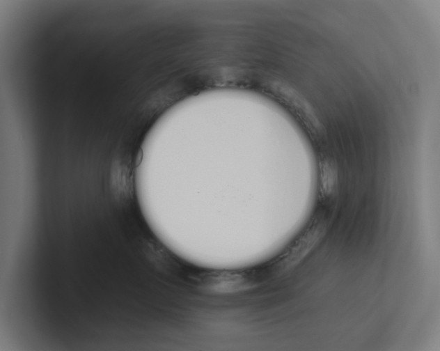 X0000102290719200808221357