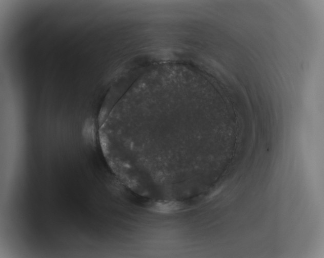 X0000102290720200808221357