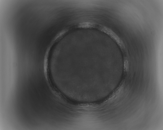 X0000102290724200808221356