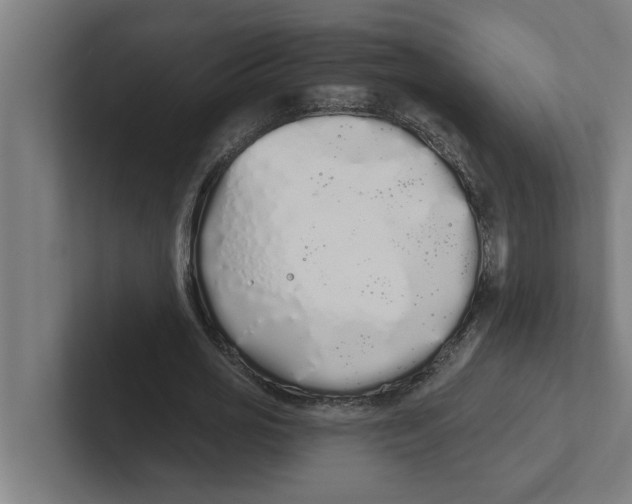 X0000102290725200808221356