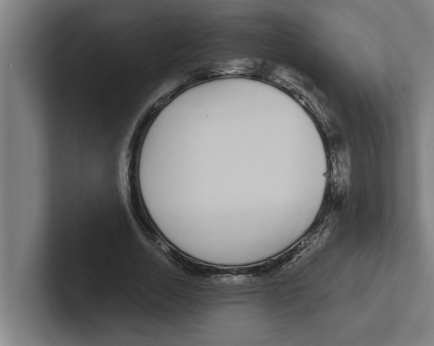 X0000102290730200808221356