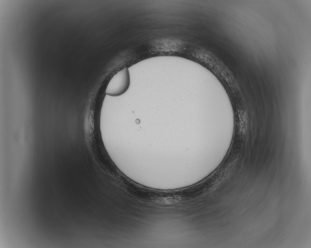 X0000102290731200808221356