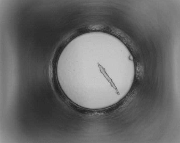 X0000102290734200808221356