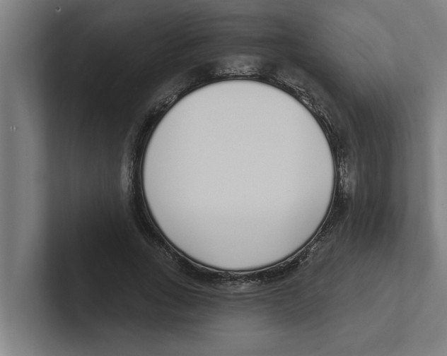 X0000102290735200808221356