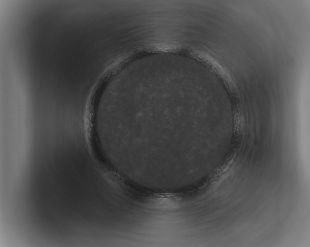 X0000102290736200808221356