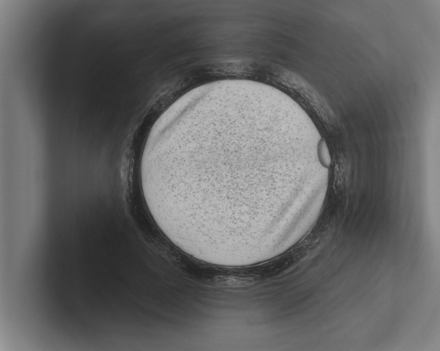 X0000102290739200808221356