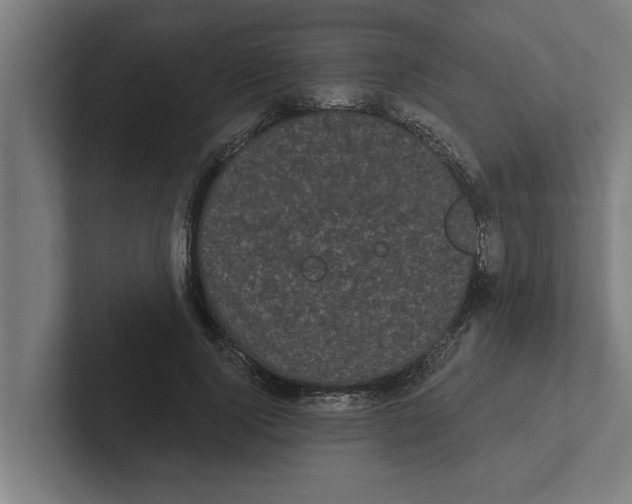 X0000102290740200808221356