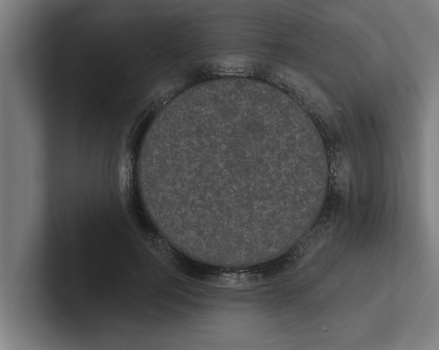 X0000102290744200808221356