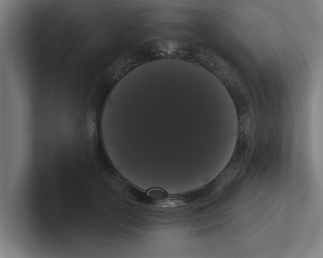 X0000102290754200808221357