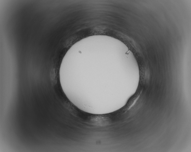 X0000102290759200808221357