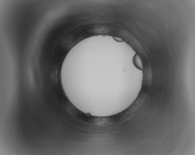 X0000102290762200808221357