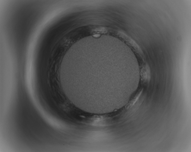 X0000102290764200808221357