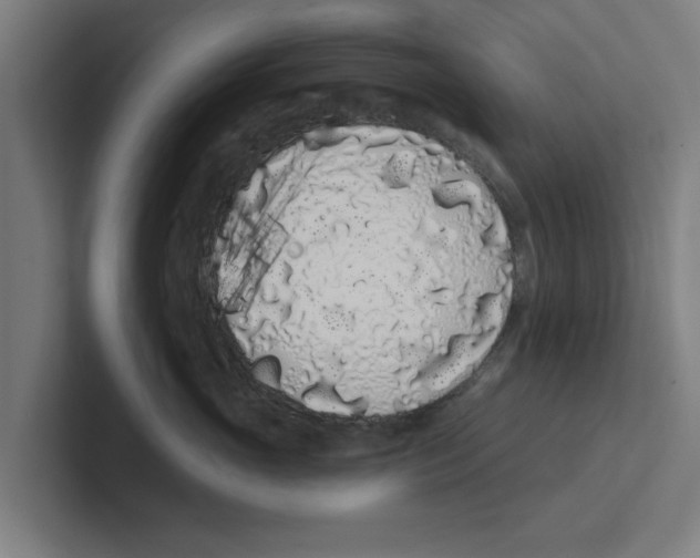 X0000102290765200808221357