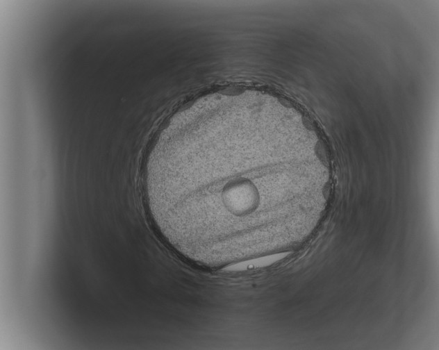 X0000102290769200808221356