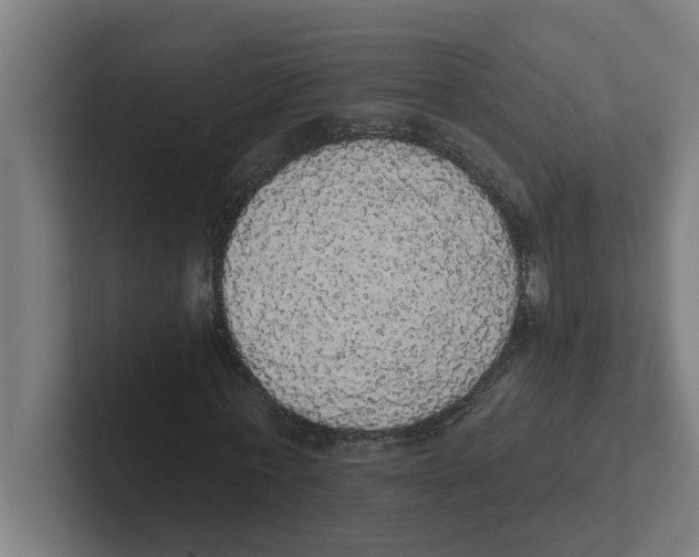 X0000102290771200808221356