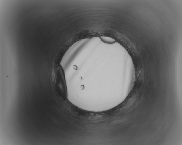 X0000102290772200808221356