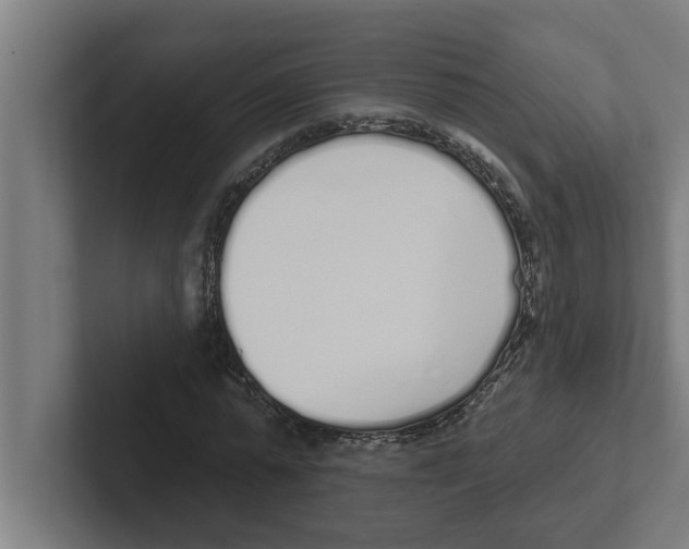 X0000102290775200808221356