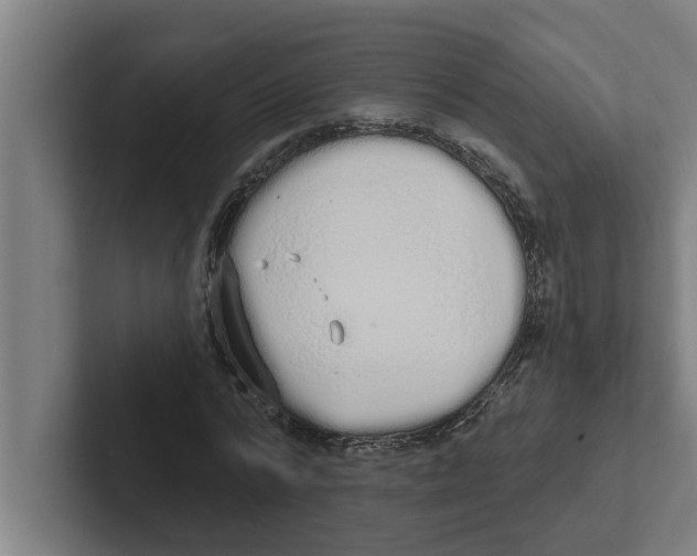 X0000102290776200808221356