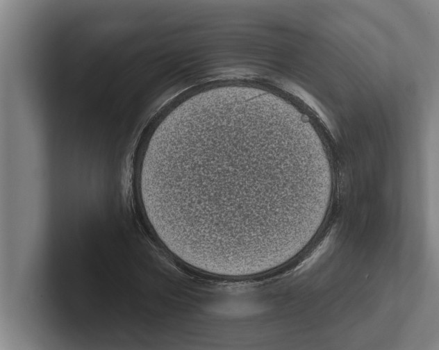 X0000102290778200808221356