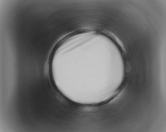 X0000102290779200808221356