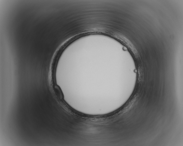 X0000102290780200808221356