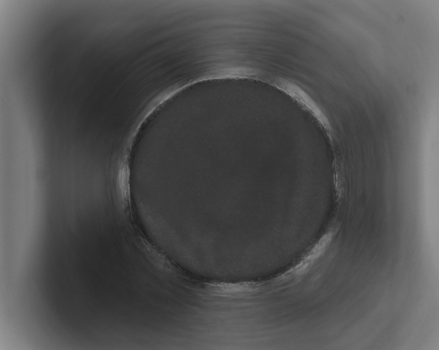 X0000102290781200808221356