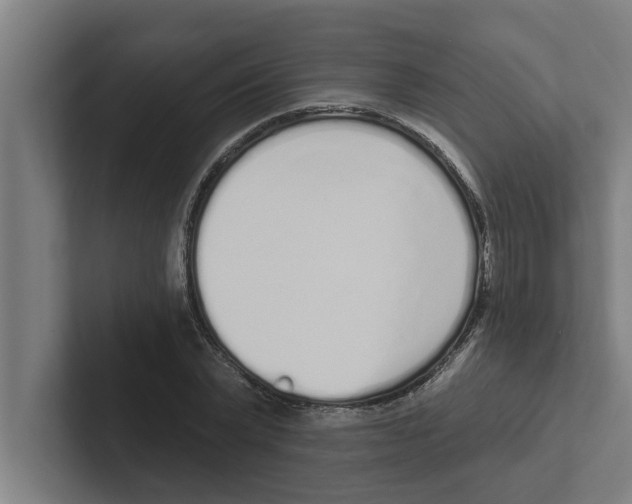 X0000102290783200808221356