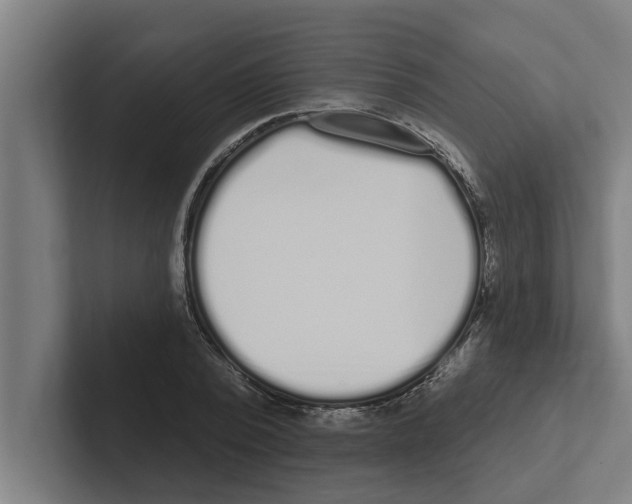 X0000102290784200808221356