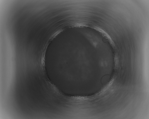 X0000102290785200808221356