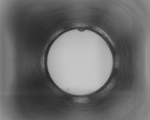 X0000102290786200808221356