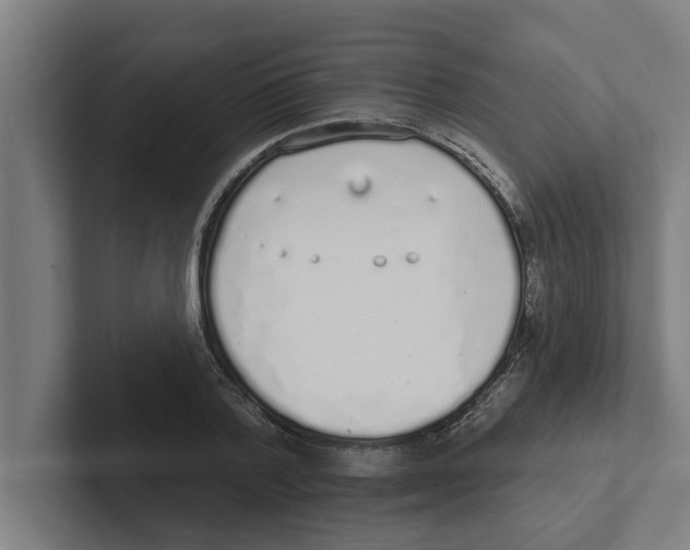 X0000102290788200808221356