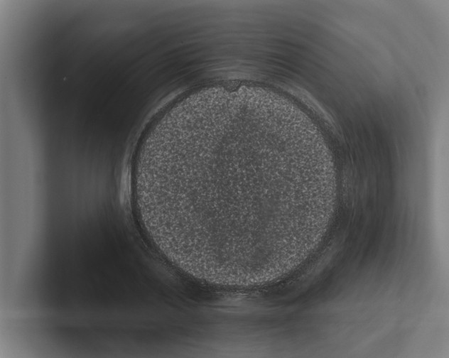 X0000102290790200808221356