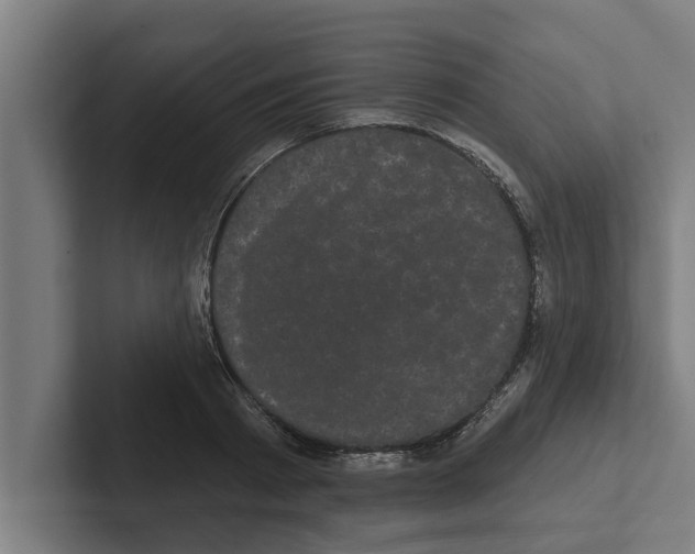 X0000102290793200808221356