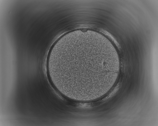 X0000102290794200808221356