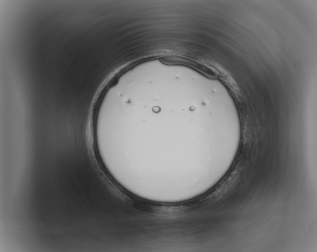 X0000102290796200808221356