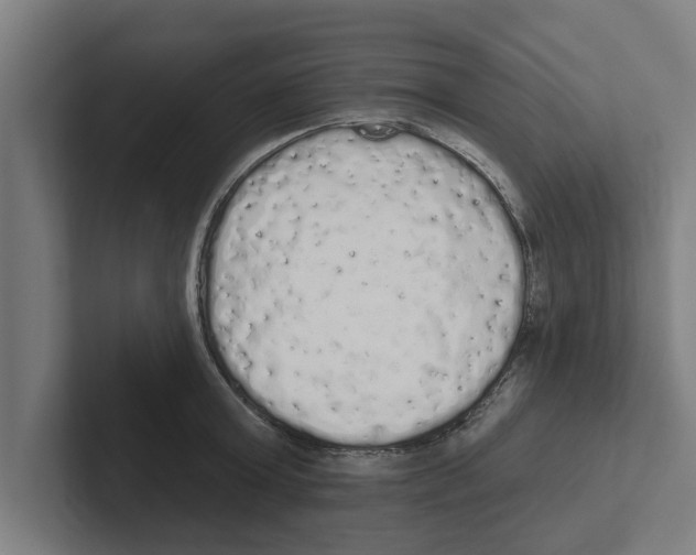 X0000102290803200808221356