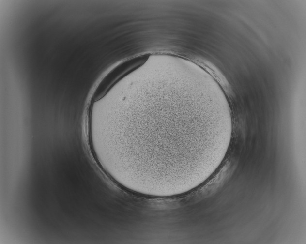 X0000102290804200808221356