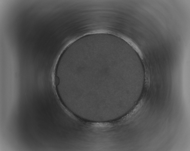 X0000102290805200808221356