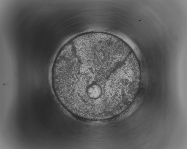 X0000102290807200808221356