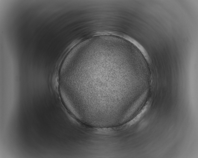 X0000102290809200808221356