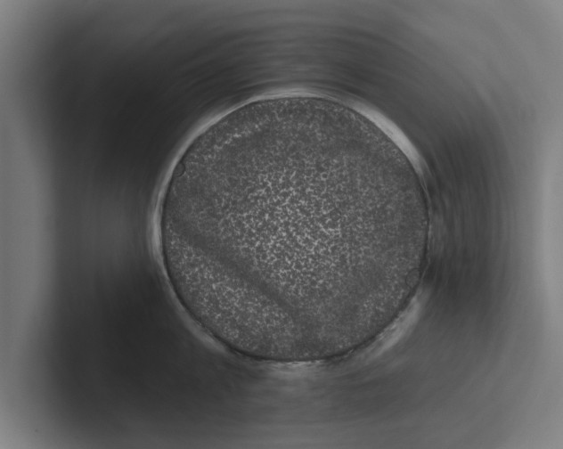 X0000102290813200808221356