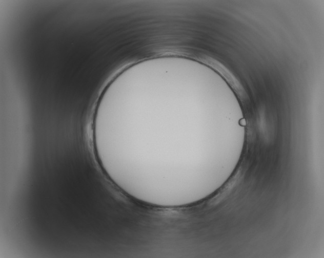 X0000102290814200808221356