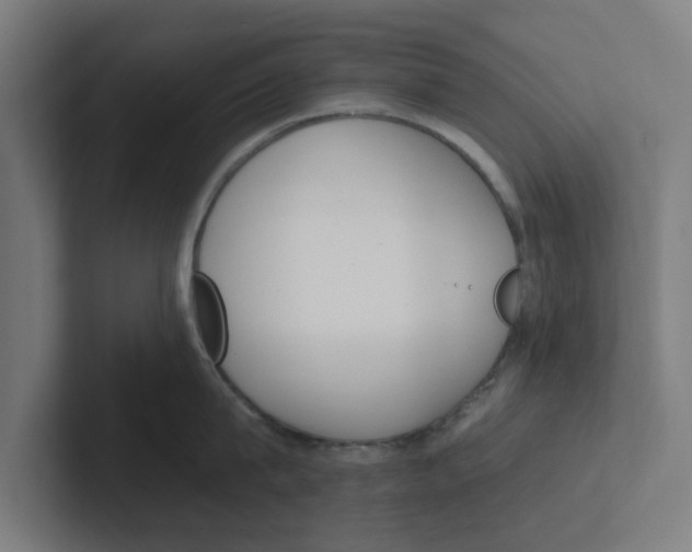 X0000102290815200808221356