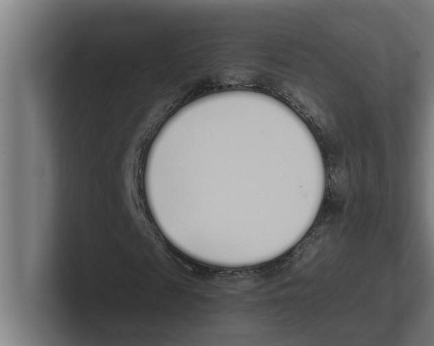 X0000102290817200808221355