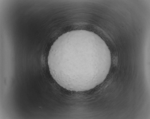 X0000102290819200808221355