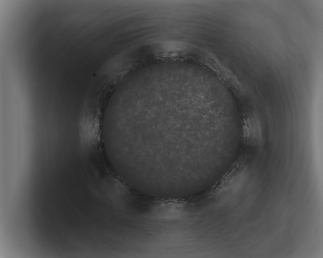 X0000102290820200808221355