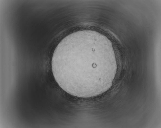 X0000102290821200808221355