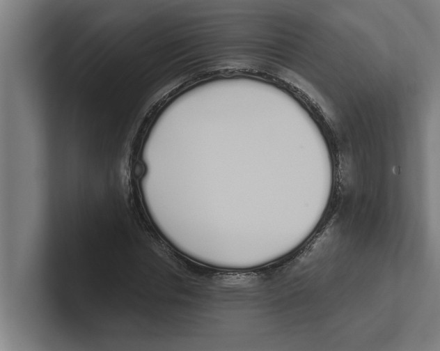 X0000102290826200808221355