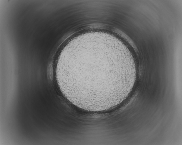 X0000102290829200808221355